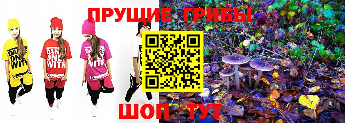 Галлюциногенные грибы GOLDEN TEACHER Нерюнгри