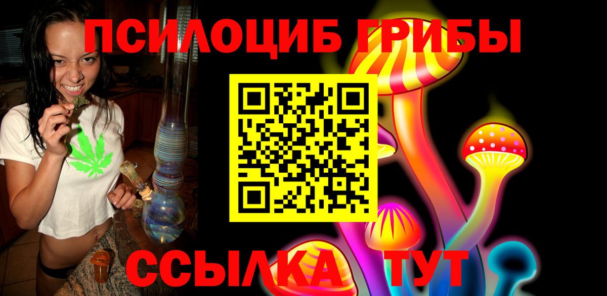 Нерюнгри  Псилоцибиновые грибы Psilocybe  Вход с VPN  Галлюциногенные грибы Psilocybe 